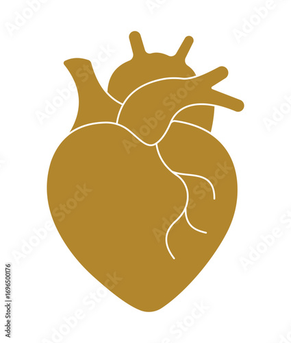 Elegant Anatomical Human Heart Silhouette for Cardiology and Medical Logos