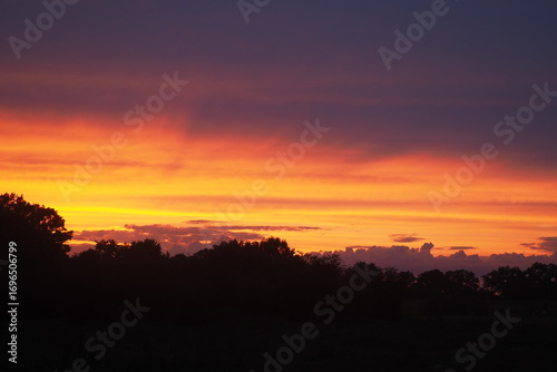 Wallpaper Mural Zachód słońca nad lasem Torontodigital.ca