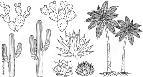 Collection of desert plants including cacti and succulents with palm trees