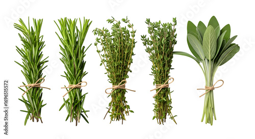 Collection of fresh herbs isolated on transparent background rosemary, thyme, and sage tied in bunches, perfect for culinary use and adding flavor to dishes
