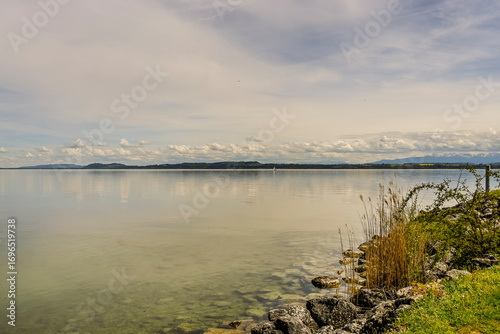 Cortaillod, Petit-Cortaillod, Neuenburgersee, Seeufer, Uferweg, Schilf, Naturschutz, Wasservögel, Dorf, Schiffssteg, Frühling, Neuchâtel, Schweiz 