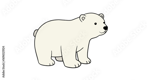 Cute animal arctic mammal drawing illustration polar bear cartoon wildlife predator ice snow fauna on transparent background