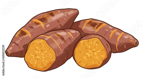 Delicious sweet potato yam healthy food vegetable baked roasted orange root crop nutrition illustration on transparent background