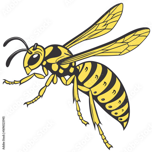 Yellow and black wasp insect