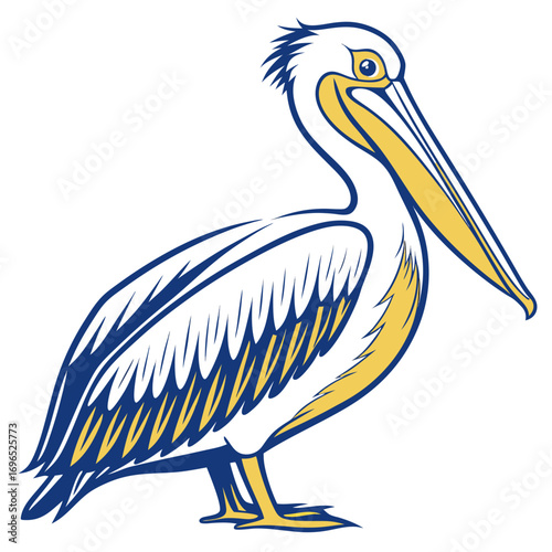 Illustration of a pelican bird