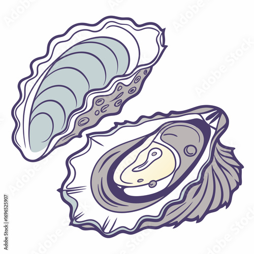 Illustration of an open oyster with its pearl and shell