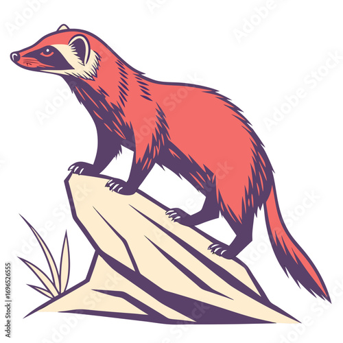 Stylized illustration of a red ferret standing on a rock