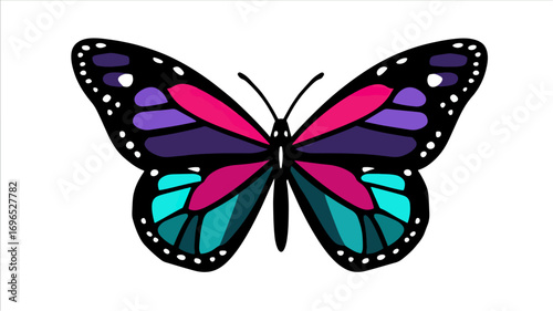 Colorful butterfly design