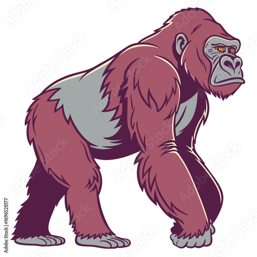 Gorilla