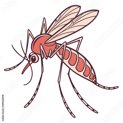 Illustration of a mosquito