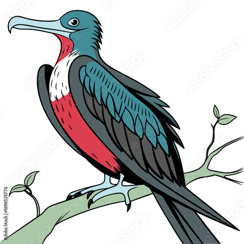 Illustration of a frigatebird perched on a branch