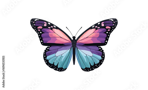 Colorful butterfly design