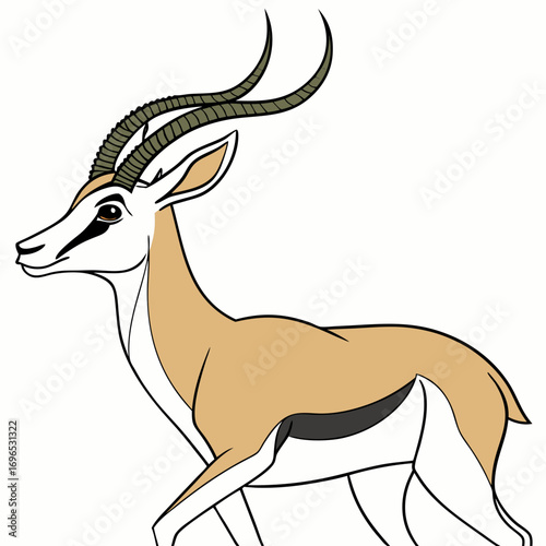Springbok antelope illustration