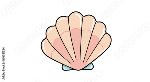 Seashell ocean beach summer sea shell marine life coastal decor nautical clam scallop graphic art on transparent background