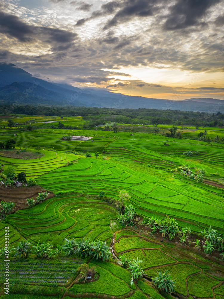 Fototapeta premium Beautiful morning view indonesia panorama landscape paddy fields with beauty color and sky natural light