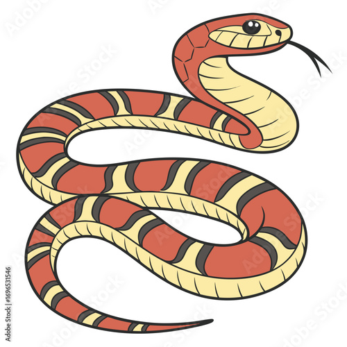 Illustration of a coral snake coiled up
