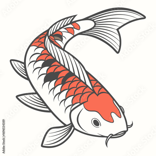 Illustration of a japanese koi fish