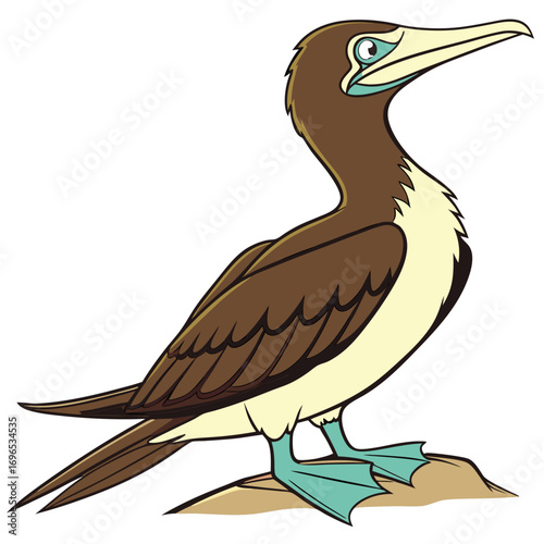 Cartoon brown booby bird standing on a rock