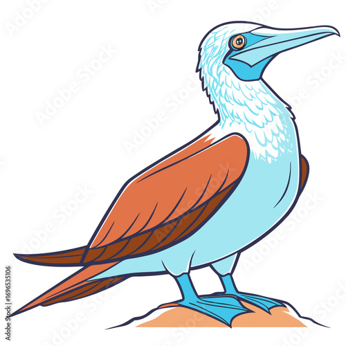 Illustration of a bluefooted booby bird standing on a rock