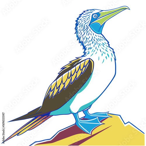 Bluefooted booby bird standing on a rock