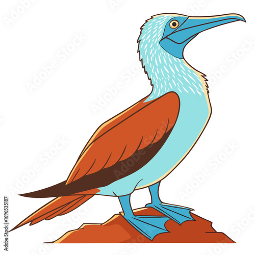 Illustration of a bluefooted booby bird standing on a rock