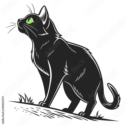 Black cat with green eyes looking up, illustration