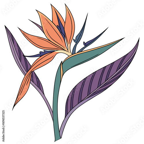 Bird of paradise flower