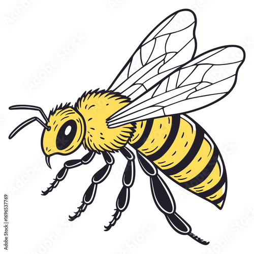 Illustration of a bee