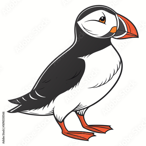 Cute cartoon puffin bird