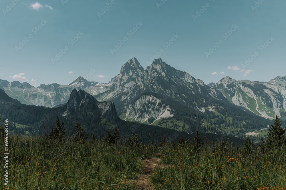 Fototapeta premium Scenic mountain view with lush forest and clear sky during summer