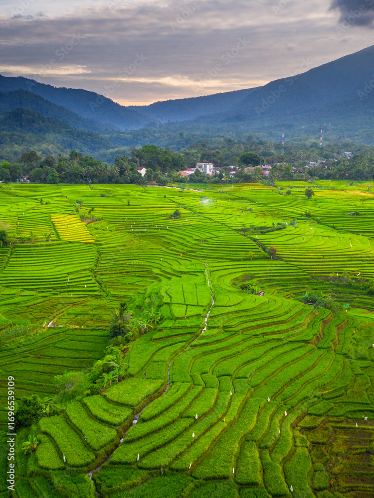 Obraz premium Beautiful morning view indonesia panorama landscape paddy fields with beauty color and sky natural light