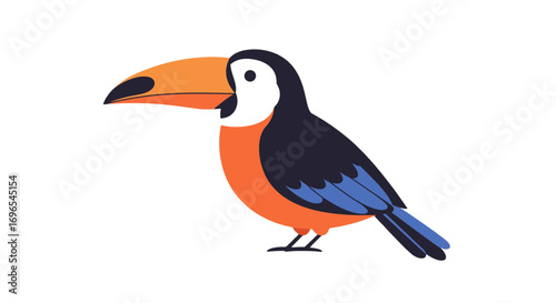 Tropical bird illustration toucan exotic wildlife avian animal nature colorful design vector art on transparent background