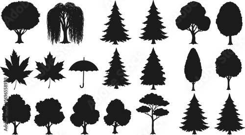 Black silhouette vector illustration of various tree shapes and leaf designs including pine, maple, willow, and umbrella isolated icons.