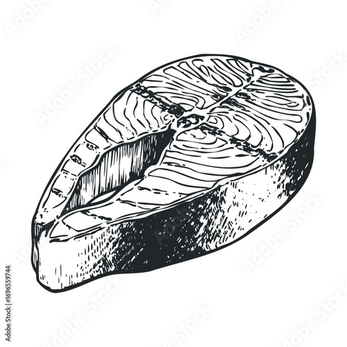Fresh salmon fillet slice for healthy cooking and meal preparation. Vector hand drawn illustration