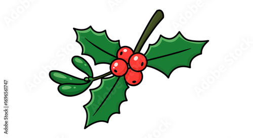 Festive holly berry illustration christmas holiday season winter foliage decorative design seasonal art on transparent background