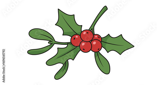 Festive holly and mistletoe illustration with vibrant berries for holiday season decoration and design on transparent background
