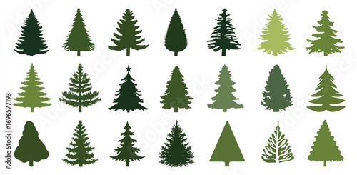 Variety of Evergreen Christmas Tree Silhouettes in Different Shapes and Shades of Green Isolated on White Background