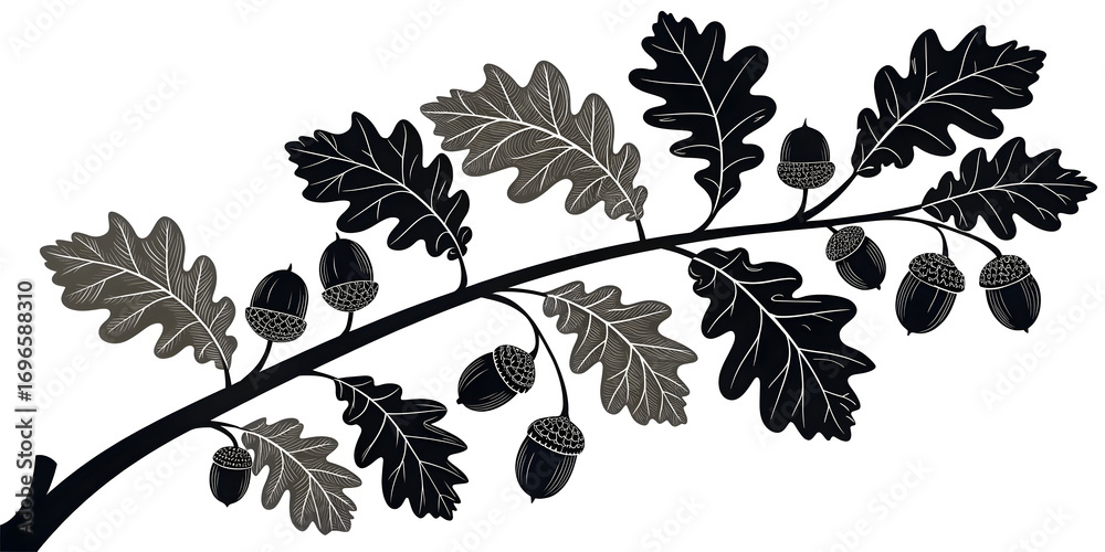 Fototapeta premium Isolated silhouettes of various black leaves and branches of a tree with fresh foliage