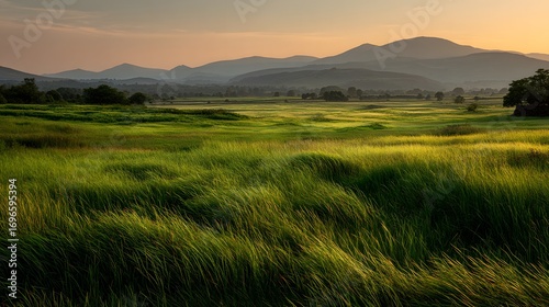 A tranquil vista of a grassy plain at dawn, with rolling hills in the distance and soft, warm light.