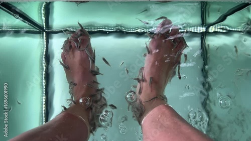 Feet immersed in a fish spa tank with Garra Rufa fish nibbling the skin, relaxing spa treatment for wellness and alternative therapy.
