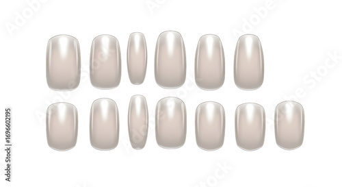 rows of white nails neatly arranged on transparent background