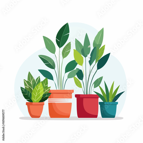 Four Potted Plants with Varied Leaf Shapes and Colorful Ceramic Pots