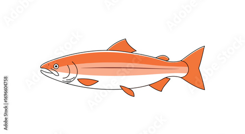 Vibrant salmon illustration with distinct orange coloration and sleek design against a clean white background showcasing aquatic life in simple