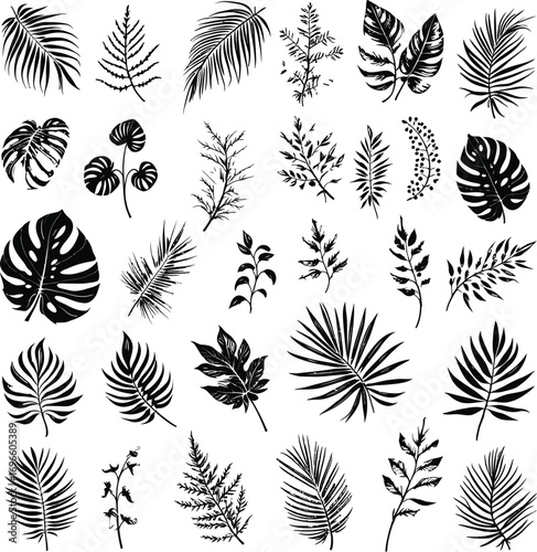 Set of 36 black and white tropical leaf illustrations, exotic botanical line art for nature-inspired design and decor