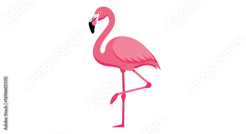 Elegant flamingo illustration showcasing its distinctive pink plumage and graceful pose standing on one leg against a pristine white background