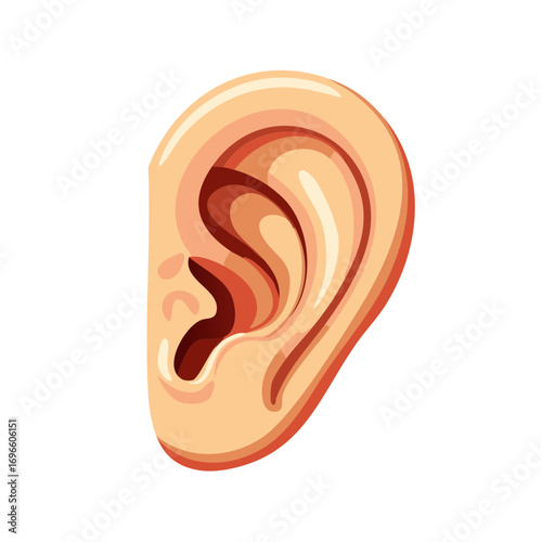 Close up stylized human ear illustration with warm skin tones and deep shadows highlighting auditory anatomy
