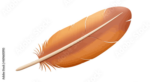 Isolated feather quill pen writing light weight bird plumage stationery graphic design element art on transparent background