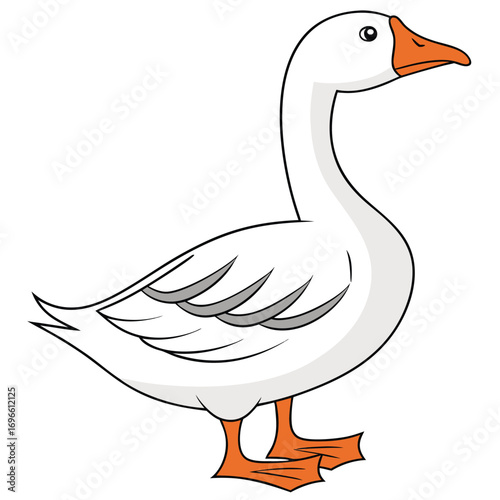 Vector art of a cartoon illustration of a white goose standing and looking to the right, isolated on a