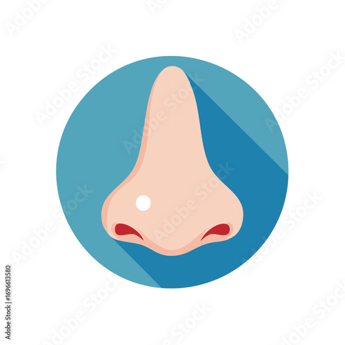 Anatomical Illustration of the Human Nose in a Circle Shape