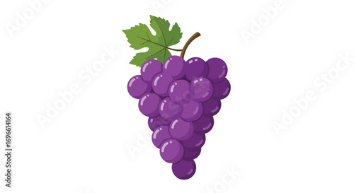 Cluster of fresh purple grapes with green leaf isolated on white background showcasing vibrant fruit and natural botanical elements